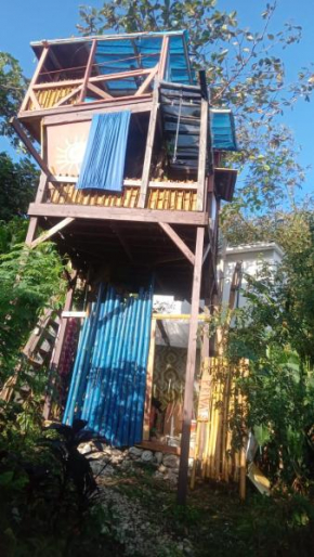 little treehouse